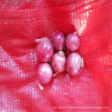 Fresh Red Onion with Best Price for Sale